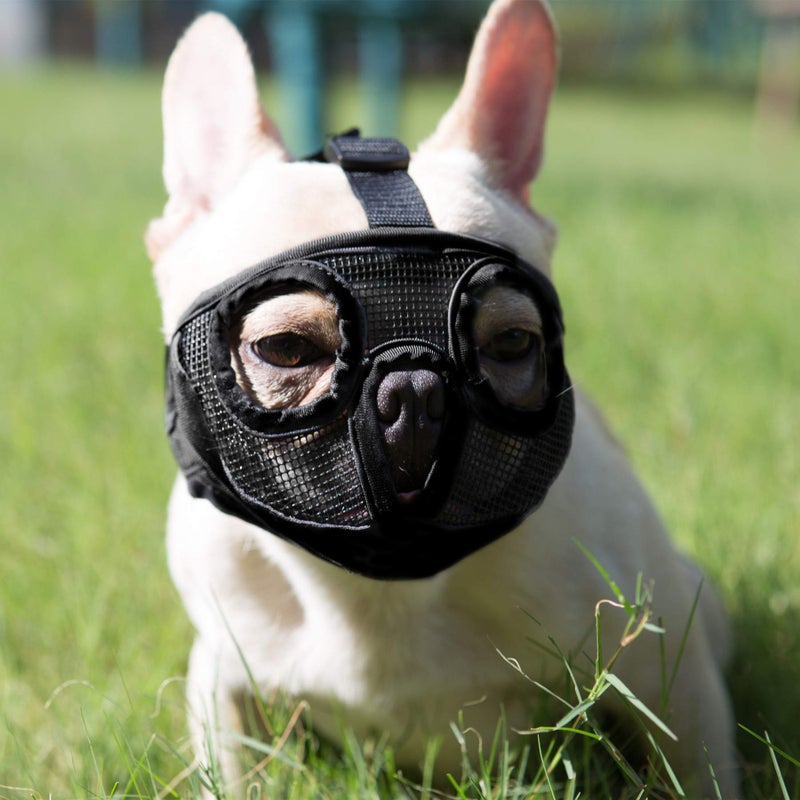 JYHY Short Snout Dog Muzzle- Adjustable Breathable Mesh Bulldog Muzzle for Biting Chewing Licking Grooming Dog Mask,Black M - Image 1